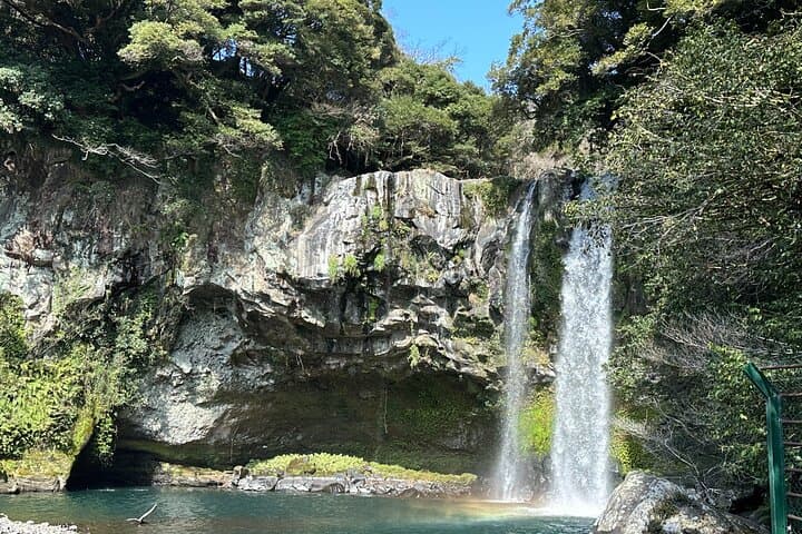 Healing South Jeju: Mt. Halla Hike, Jusangjeolli & Oedolgae Day Tour