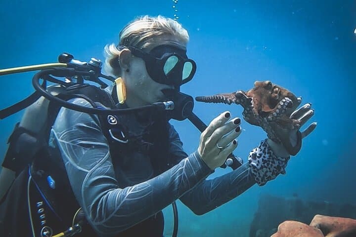 Private Aruba Scuba Dive with Photographer — Certified Divers Photo Experience photo 5