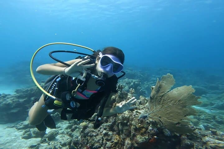 Private Aruba Scuba Dive with Photographer — Certified Divers Photo Experience photo 6