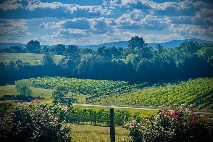 Half-Day Private Wine Tour from Asheville: Three Vineyards in the Blue Ridge Foothills