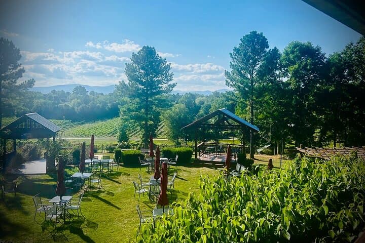 Half-Day Private Wine Tour from Asheville: Three Vineyards in the Blue Ridge Foothills photo 4