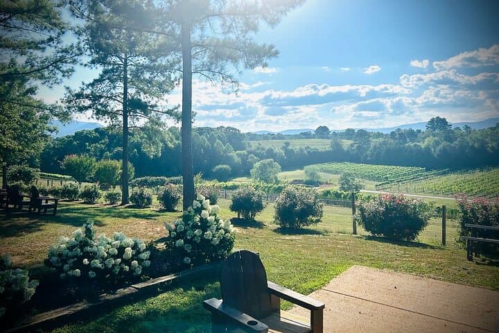 Half-Day Private Wine Tour from Asheville: Three Vineyards in the Blue Ridge Foothills photo 5