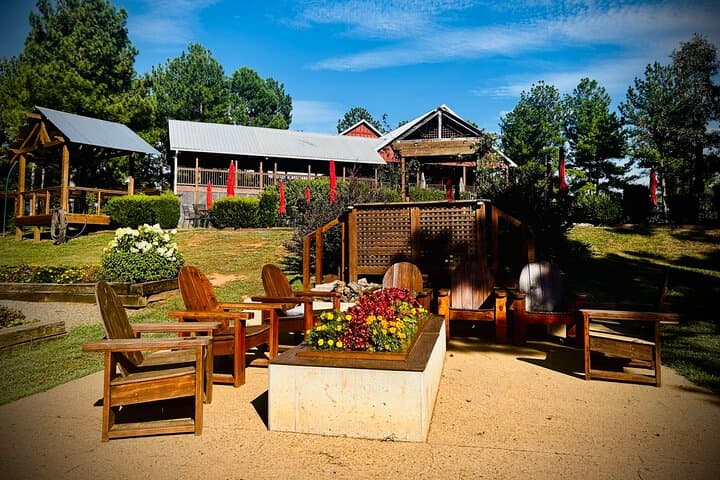 Half-Day Private Wine Tour from Asheville: Three Vineyards in the Blue Ridge Foothills photo 2