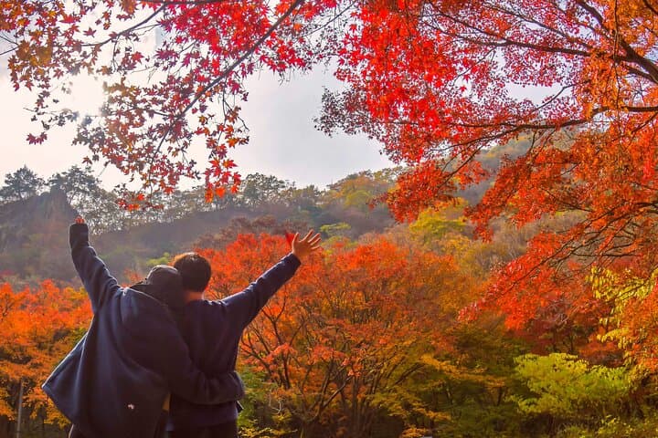 Naejangsan Fall Foliage Day Trip from Busan (Seoul Drop-off Option) photo 6