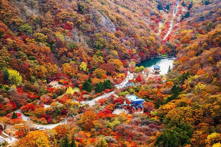 Naejangsan Fall Foliage Day Trip from Busan (Seoul Drop-off Option) photo 2
