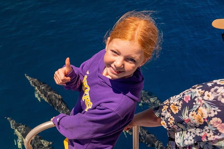 Bay of Plenty Dolphin & Wildlife Cruise — Half-Day from Rotorua photo 4
