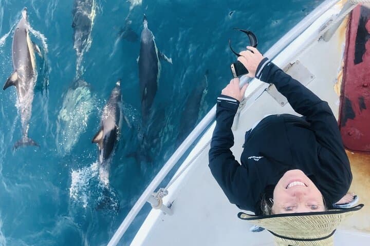 Bay of Plenty Dolphin & Wildlife Cruise — Half-Day from Rotorua photo 2