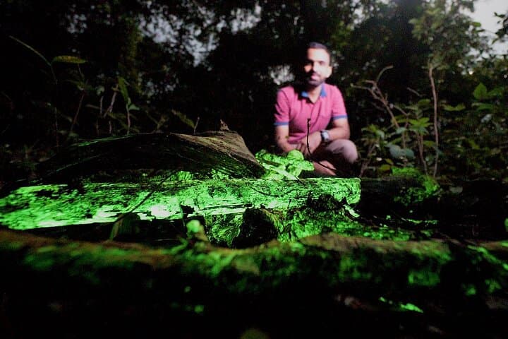 Night Walk to See Bioluminescent Fungi in Goa's Western Ghats photo 3