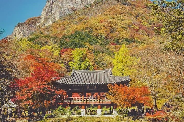 Naejangsan Fall Foliage Day Trip from Seoul (Busan Drop-off Option) photo 3