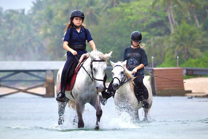 Koh Samui Beach Horse Riding: Coastal Trails & Tropical Gardens photo 2