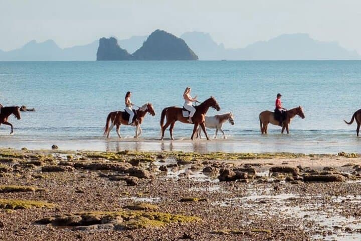 Koh Samui Beach Horse Riding: Coastal Trails & Tropical Gardens photo 3