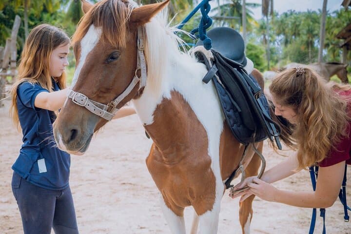 Koh Samui Beach Horse Riding: Coastal Trails & Tropical Gardens photo 4
