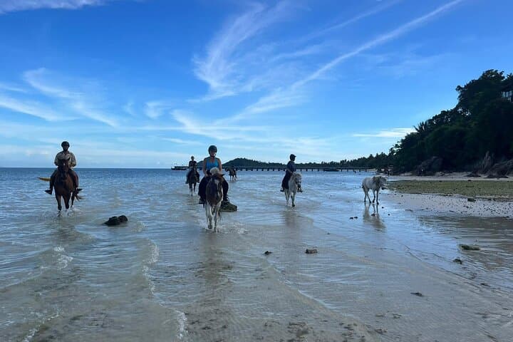 Koh Samui Beach Horse Riding: Coastal Trails & Tropical Gardens photo 5
