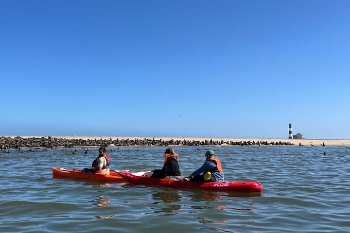 Seal Kayaking at Pelican Point — Walvis Bay Wildlife Paddle & Salt Pan Views