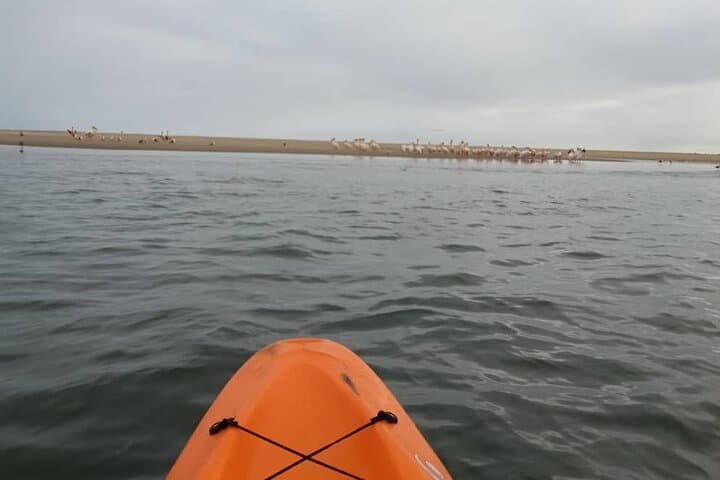 Seal Kayaking and Sandwich Harbour Dune Tour, Walvis Bay photo 4