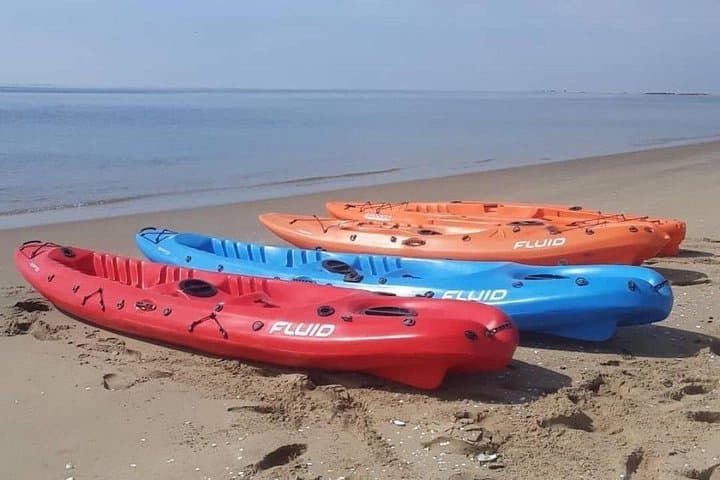 Seal Kayaking at Pelican Point — Walvis Bay Wildlife Paddle & Salt Pan Views photo 5