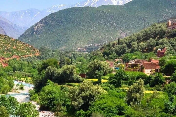 Ourika Valley Day Trip from Marrakech: Waterfalls, Berber Villages & Argan Oil photo 4