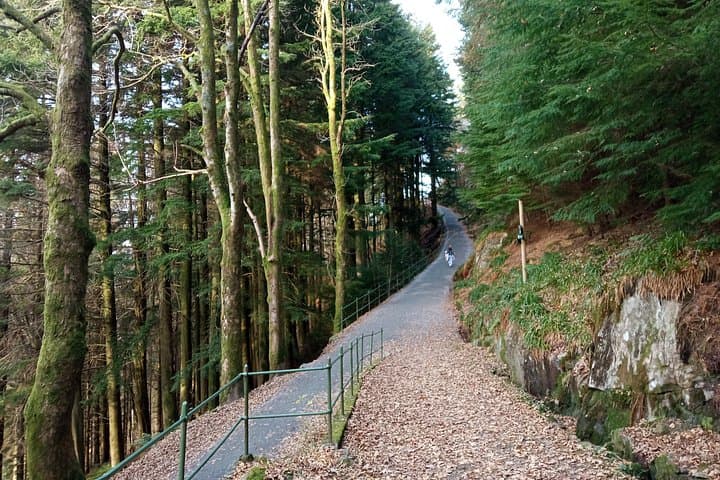 Bergen Fish Market to Mount Fløyen: Self-Guided Urban Hike with Panoramic Views photo 4