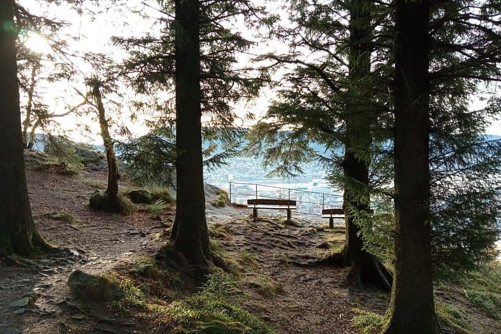 Bergen Fish Market to Mount Fløyen: Self-Guided Urban Hike with Panoramic Views photo 3