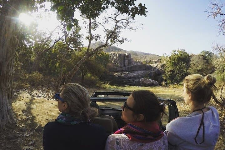 Ranthambore Day Safari from Jaipur — Jeep & Canter Wildlife Experience photo 6