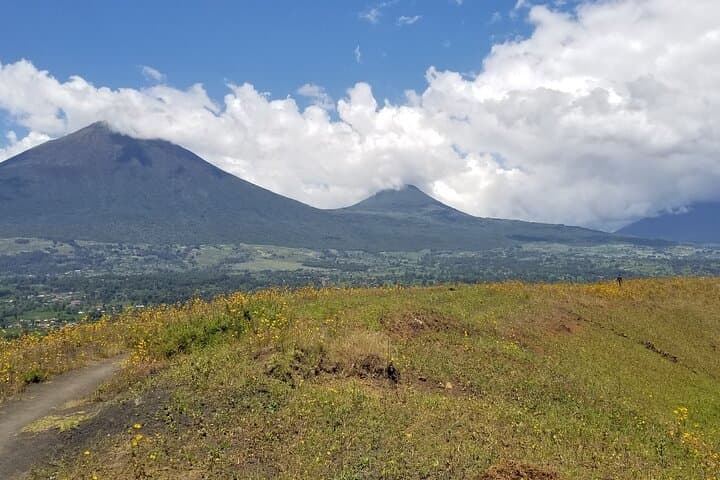 3-Day Budget Gorilla Trekking Safari in Bwindi Impenetrable, Uganda photo 4