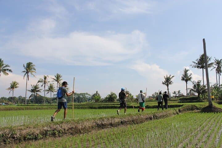 Bali Rural Explorer: Balinese Cooking & Village Life Near Ubud photo 2