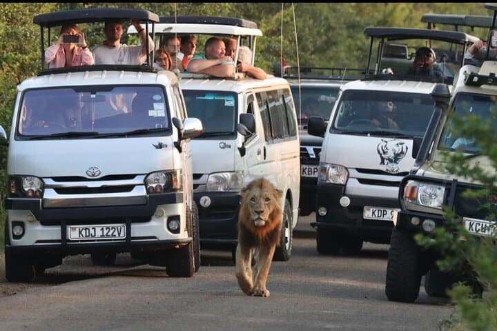 Maasai Mara Day Trip: Full-Day Game Drive from Nairobi