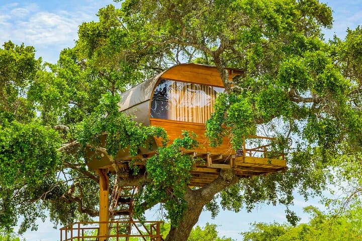 Luxury Yala Safari Camping: 2-Night All-Inclusive Wildlife Experience photo 5