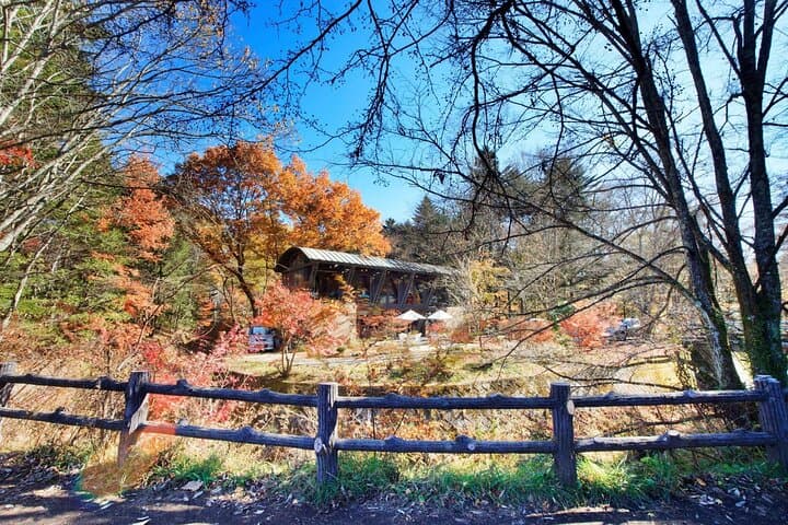 Karuizawa Private Full-Day Custom Tour — Nature, History & Local Flavors photo 2