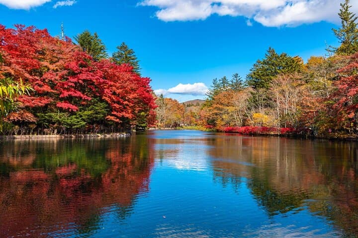 Karuizawa Private Full-Day Custom Tour — Nature, History & Local Flavors photo 5