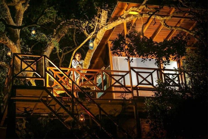Luxury Yala Safari Camping: 2-Night All-Inclusive Wildlife Experience photo 4