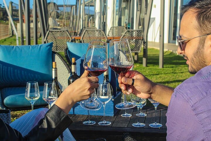 Private Constantia Wineries and Cape Beaches Day Tour from Cape Town photo 2
