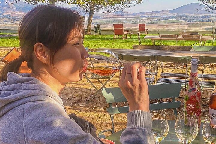 Private Constantia Wineries and Cape Beaches Day Tour from Cape Town photo 3