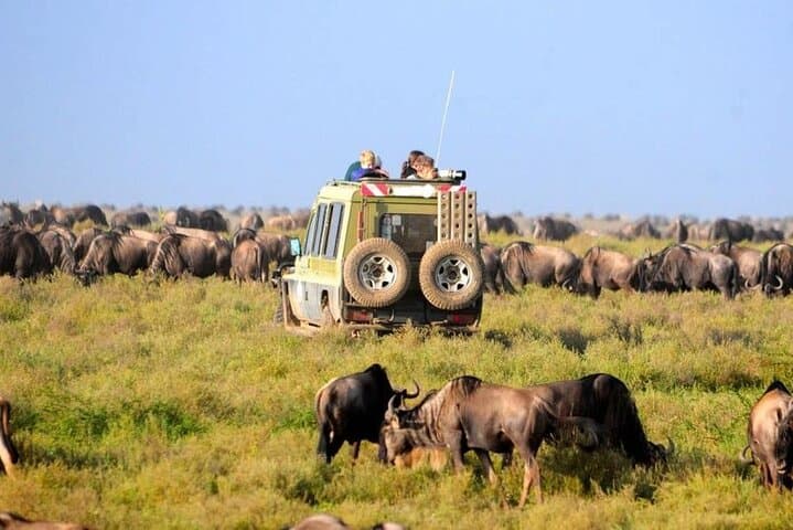 9-Day Kenya Wild Safari and Diani Beach Tour — Maasai Mara, Nakuru & Naivasha photo 2