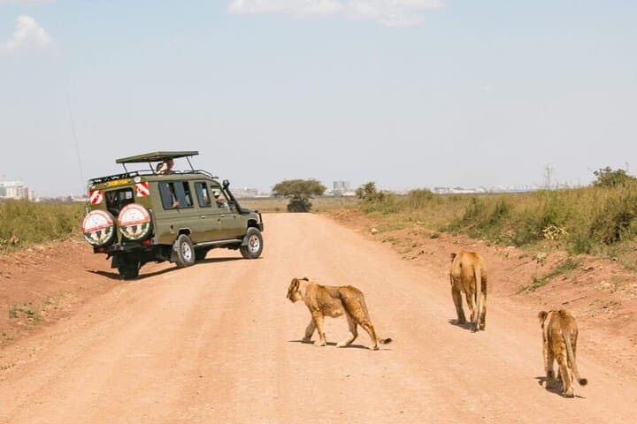 9-Day Kenya Wild Safari and Diani Beach Tour — Maasai Mara, Nakuru & Naivasha