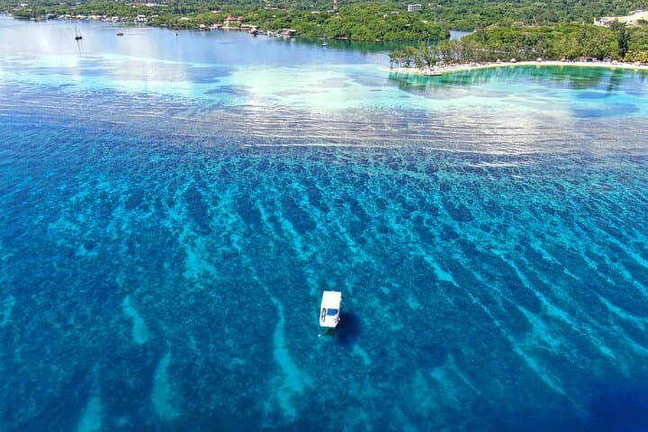 3-Stop Snorkel Hopping and Beach Tour — Roatán's Best Reefs photo 5