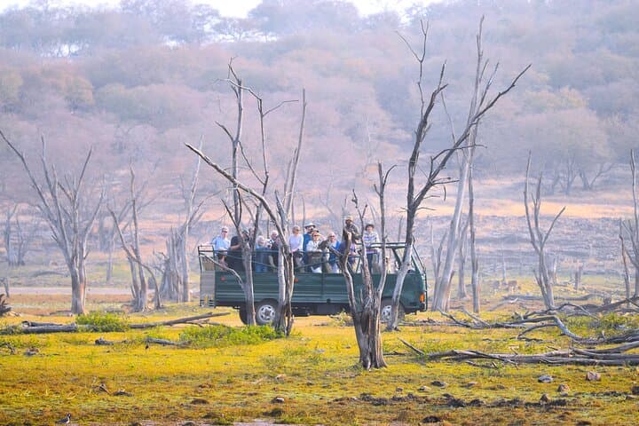 Ranthambore Tiger Safari: Day Trip from Jaipur to See Bengal Tigers in the Wild photo 6