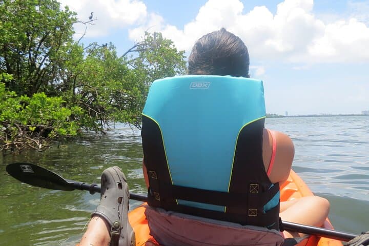 Kayak Eco-Tourism in Miami Bay: Paddle with Dolphins and Manatees photo 4