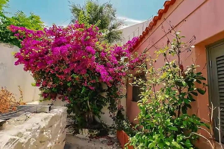 Athens Beauty 4-Hour Private Walking Tour — Syntagma, Plaka & Anafiotika photo 4