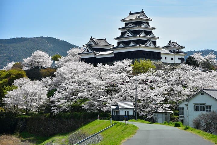 Ozu Private Full-Day Custom Tour — Tailor a Cultural & Scenic Day in Ehime