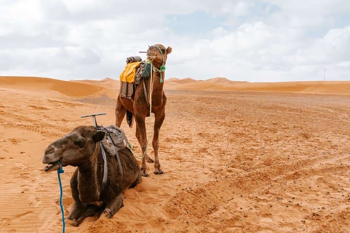 Full Merzouga Desert Experience: Camel Ride, Night Camp & 4x4 Adventure photo 4