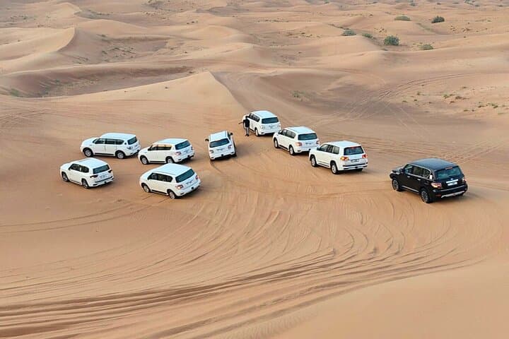 Red Dune Desert Safari: Camel Ride, Dune Bashing & BBQ in Dubai photo 5