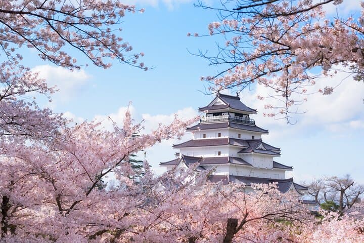 Private Custom Full-Day Tsuruga Tour: Culture, Coast & Hidden Gems