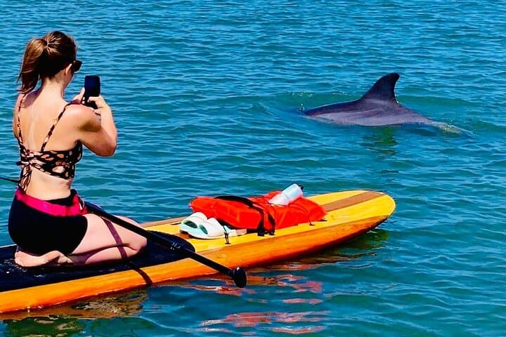 St. Augustine Dolphin, Manatee & Sea Turtle Kayak Adventure photo 4
