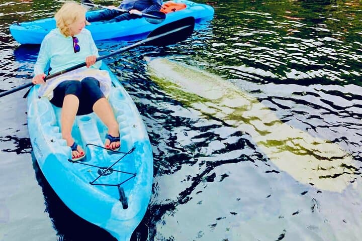 St. Augustine Dolphin, Manatee & Sea Turtle Kayak Adventure