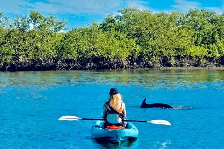 St. Augustine Dolphin, Manatee & Sea Turtle Kayak Adventure photo 5