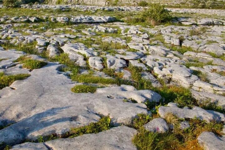Cliffs of Moher, Burren & Bunratty: Private Chauffeur Day Tour Guide photo 5