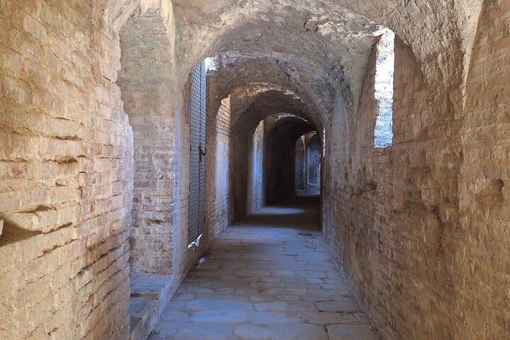 Explore Italica: Hadrian’s City, Amphitheatre & Mosaic Domus Guided Tour photo 4