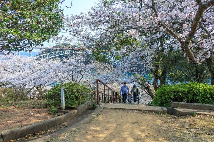 Customize Your Sasebo: Private Full-Day Tour to Kujukushima, Observatories & Local Flavors