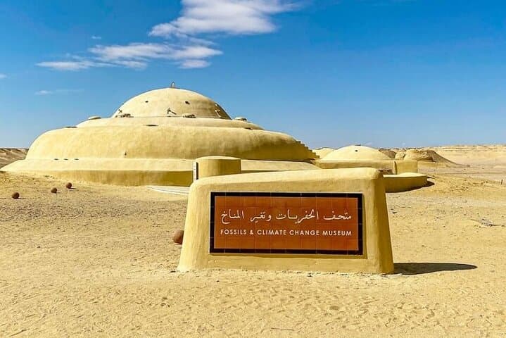 Valley of the Whales & Wadi El-Rayan Day Trip from Cairo photo 4
